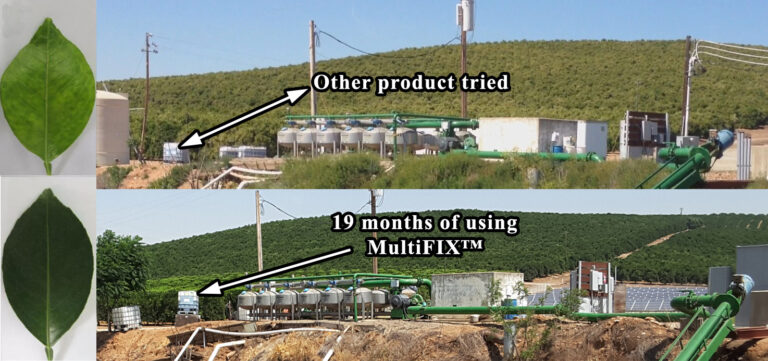 Before-and-after photos showing massive improvement in almost no time