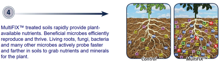 MultiFIX-treated soils rapidly provide plant-available nutrients. Beneficial microbes efficiently reproduce and thrive. Living roots, fungi, bacteria, and many other microbes actively probe faster and farther in soils to grab nutrients and minerals for the plant.
