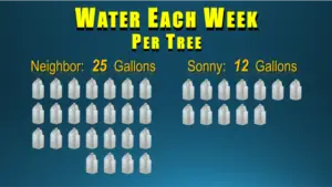 Sonny needed only 12 gallons of water per tree per week, while his neighbors used 25 gallons per week.