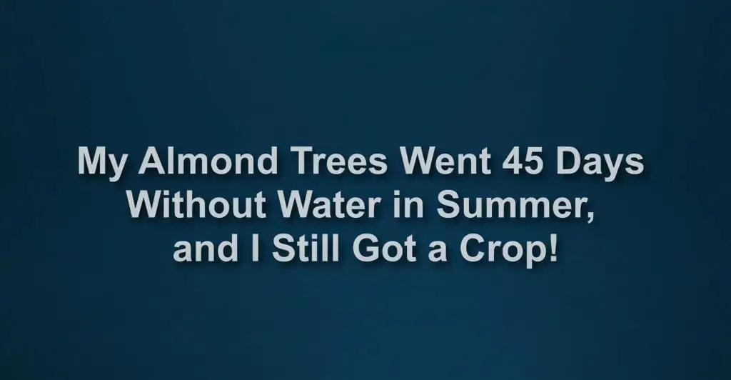 Save water on pistachio trees