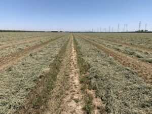 Alfalfa crop increases by 1 1/2 tons after being treated with MultiFIX®