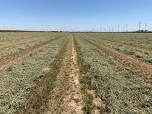 Alfalfa crop increases by 1 1/2 tons after being treated with MultiFIX®