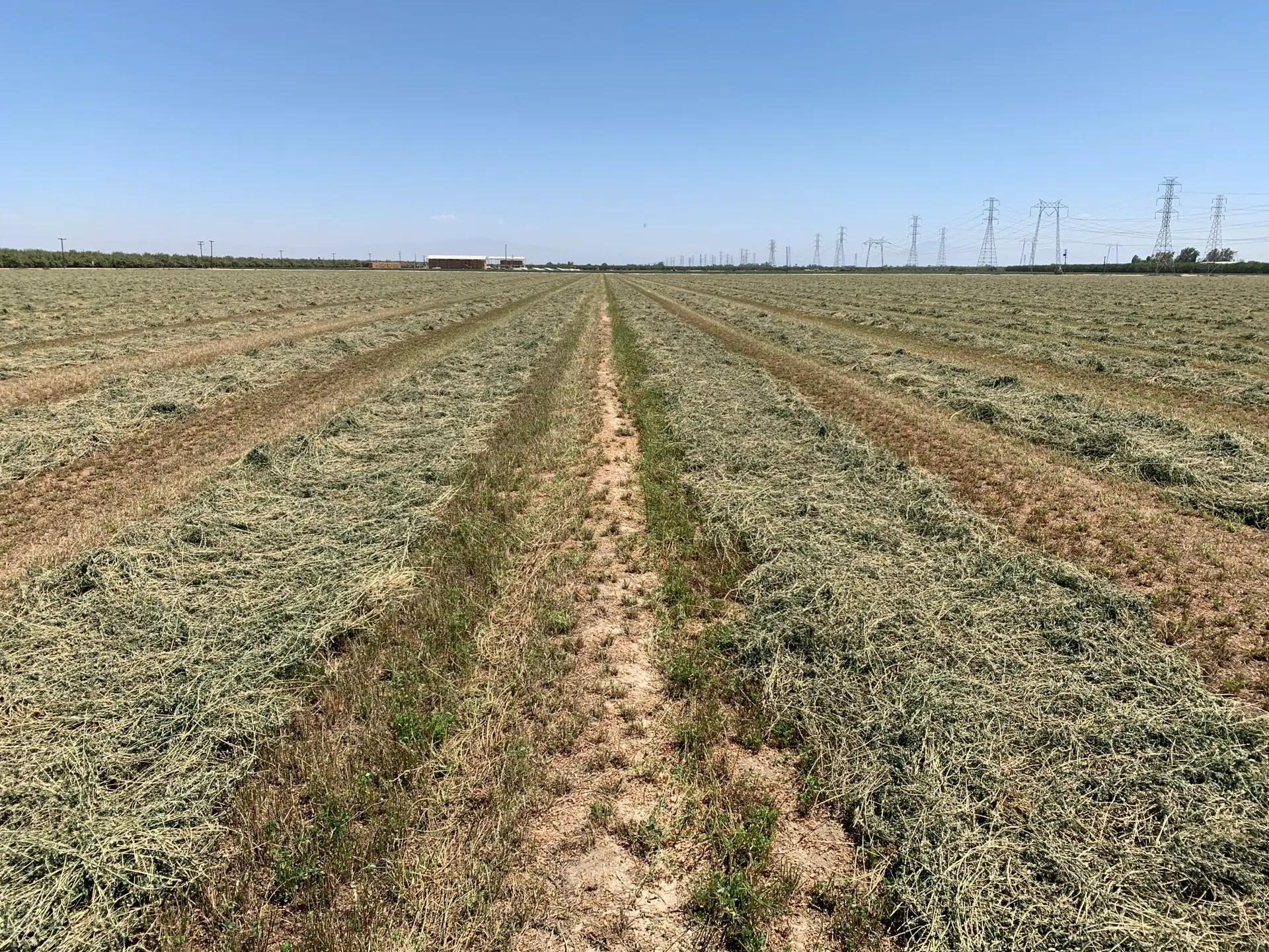 Alfalfa crop increases by 1 1/2 tons after being treated with MultiFIX®