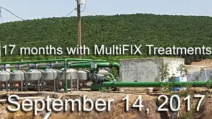 Same trees 17 months after beginning MultiFIX treatment