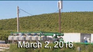 California citrus grove before MultiFIX