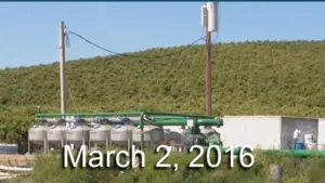 California citrus grove before MultiFIX