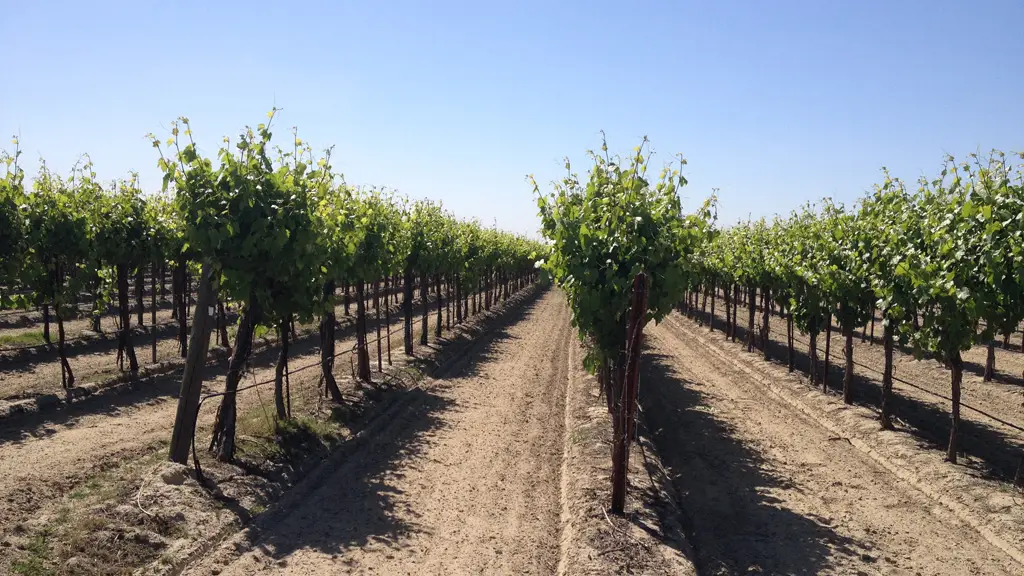 MultiFIX Vineyard Vitality Hub