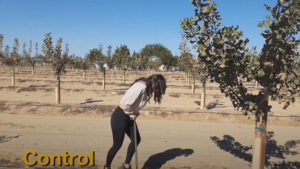 MultiFIX helps reduce soil compaction and increase aeration.