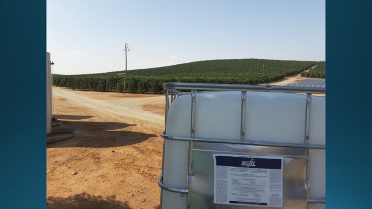 multifix-basic-48-slide-PPT-1280x720 (10)