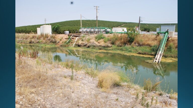 multifix-basic-48-slide-PPT-1280x720 (11)