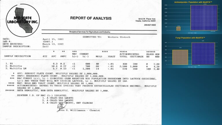 multifix-basic-48-slide-PPT-1280x720 (12)
