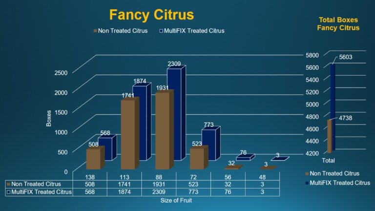 multifix-basic-48-slide-PPT-1280x720 (14)