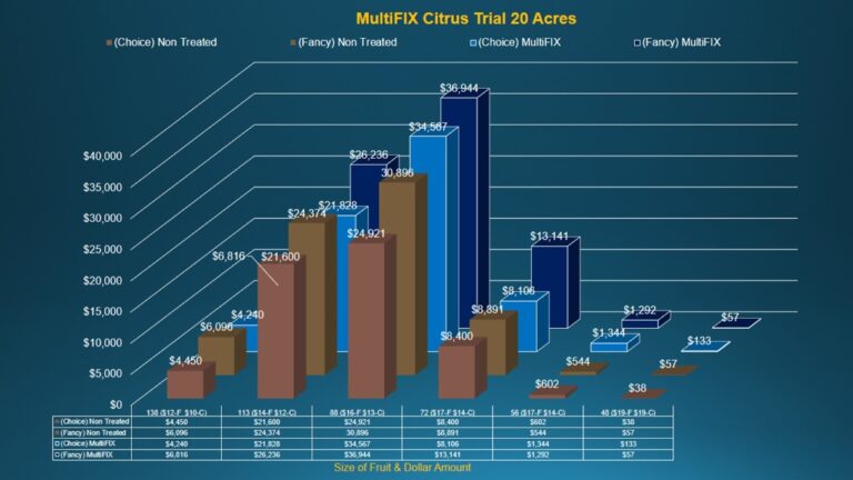 multifix-basic-48-slide-PPT-1280x720 (15)