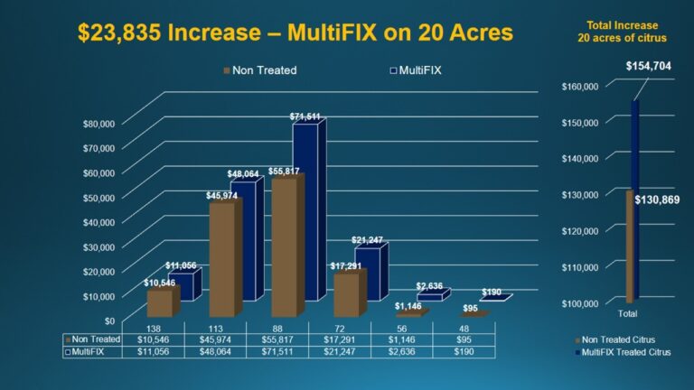 multifix-basic-48-slide-PPT-1280x720 (16)