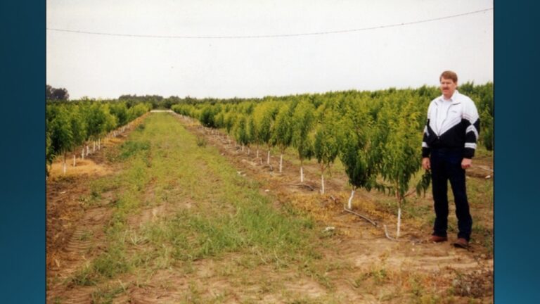 multifix-basic-48-slide-PPT-1280x720 (17)