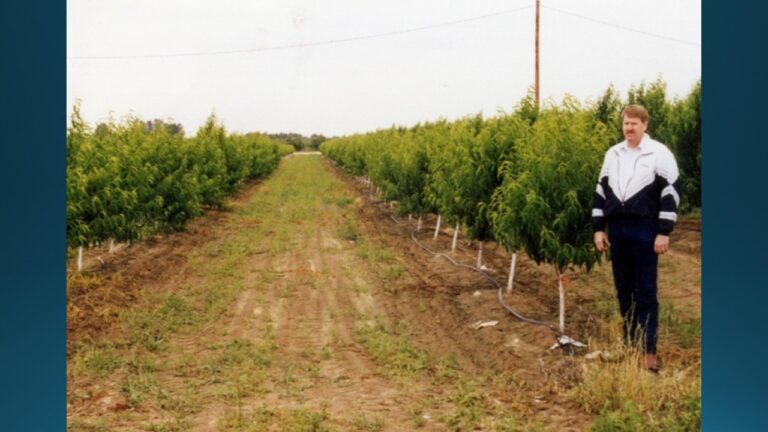 multifix-basic-48-slide-PPT-1280x720 (18)