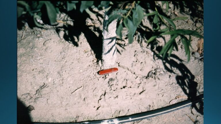 multifix-basic-48-slide-PPT-1280x720 (20)