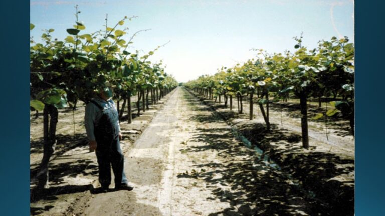 multifix-basic-48-slide-PPT-1280x720 (22)