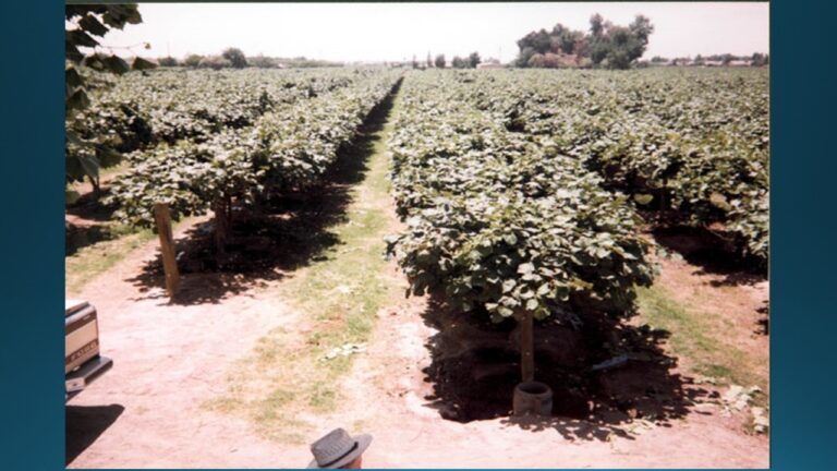 multifix-basic-48-slide-PPT-1280x720 (23)