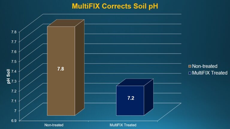 multifix-basic-48-slide-PPT-1280x720 (24)