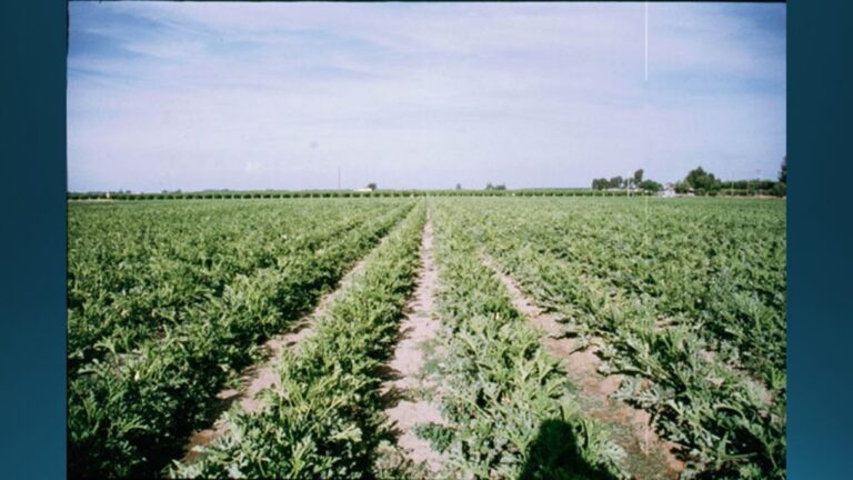 multifix-basic-48-slide-PPT-1280x720 (26)