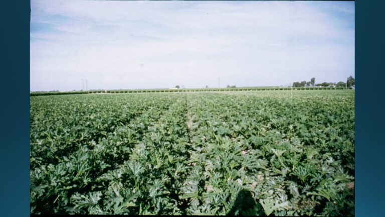 multifix-basic-48-slide-PPT-1280x720 (27)