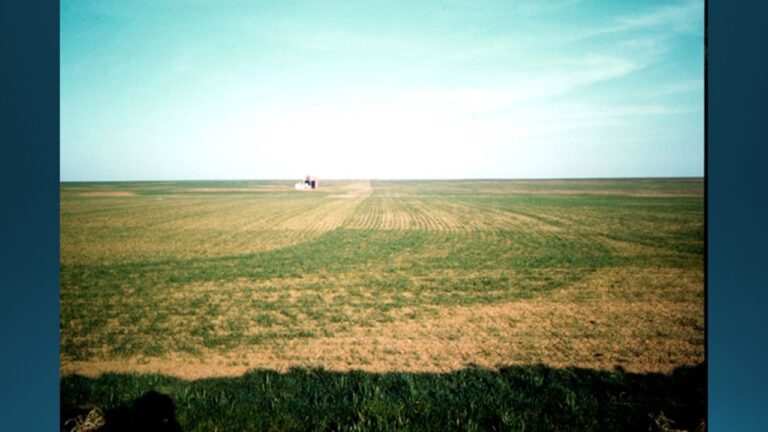 multifix-basic-48-slide-PPT-1280x720 (28)