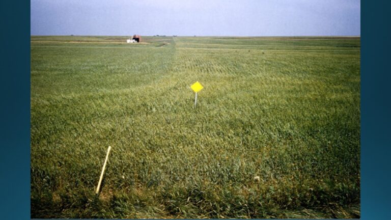 multifix-basic-48-slide-PPT-1280x720 (29)