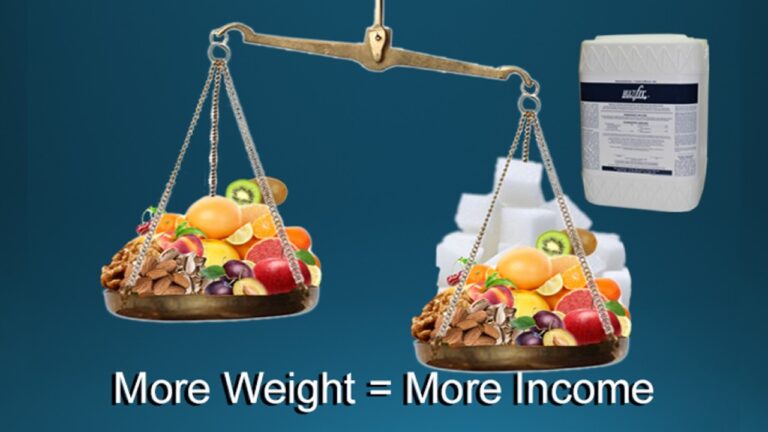 multifix-basic-48-slide-PPT-1280x720 (3)