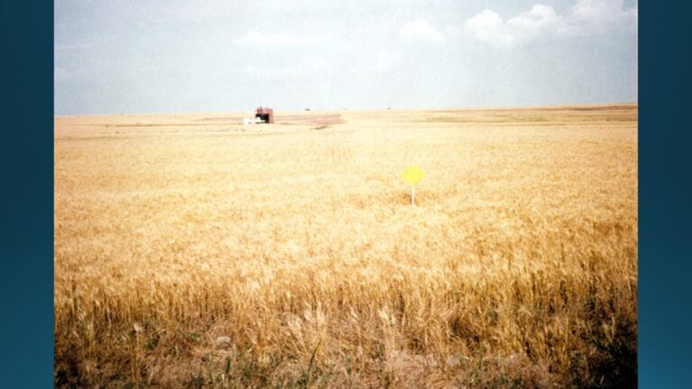 multifix-basic-48-slide-PPT-1280x720 (30)