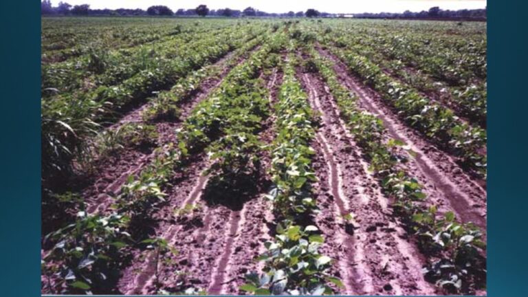 multifix-basic-48-slide-PPT-1280x720 (33)