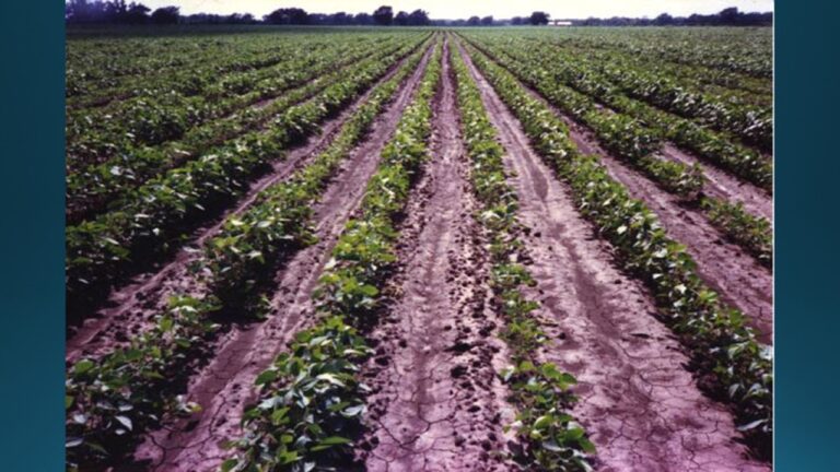 multifix-basic-48-slide-PPT-1280x720 (34)