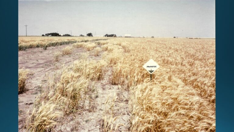 multifix-basic-48-slide-PPT-1280x720 (38)