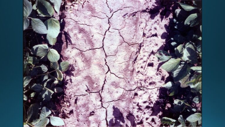 multifix-basic-48-slide-PPT-1280x720 (39)