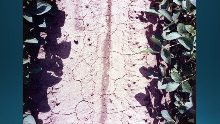 multifix-basic-48-slide-PPT-1280x720 (40)