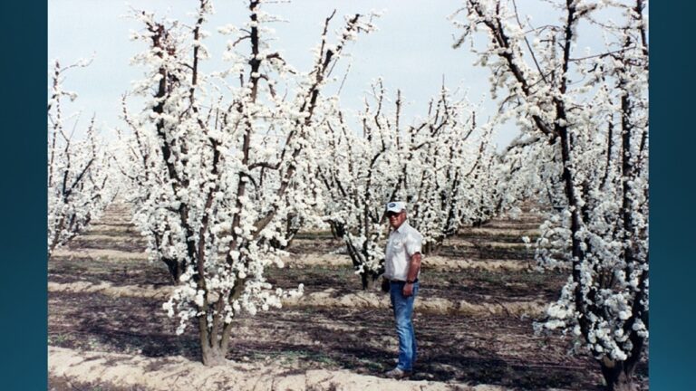 multifix-basic-48-slide-PPT-1280x720 (42)