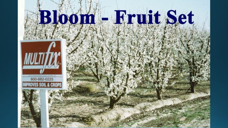 multifix-basic-48-slide-PPT-1280x720 (43)