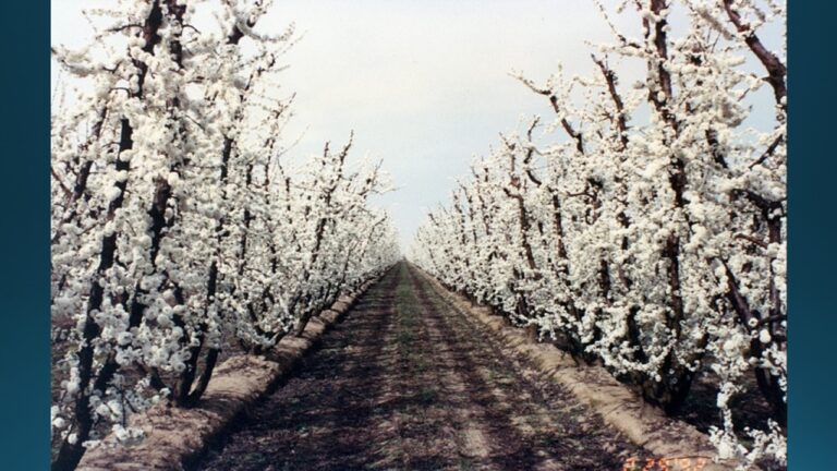 multifix-basic-48-slide-PPT-1280x720 (45)