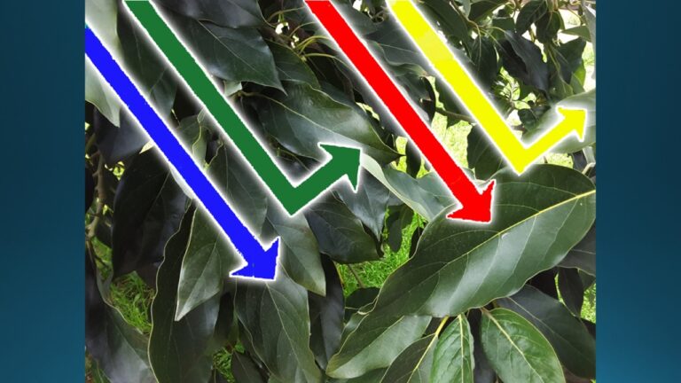 multifix-basic-48-slide-PPT-1280x720 (46)