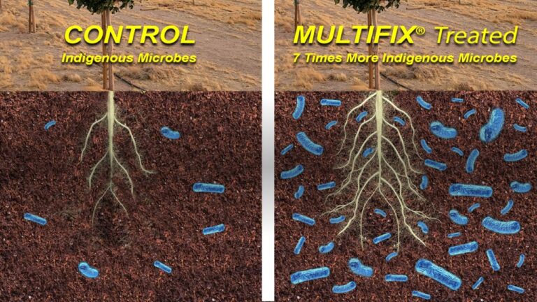 multifix-basic-48-slide-PPT-1280x720 (47)