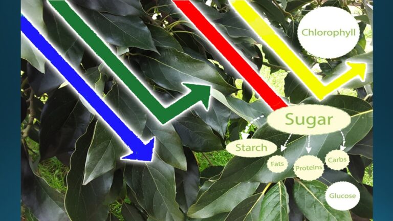 multifix-basic-48-slide-PPT-1280x720 (5)