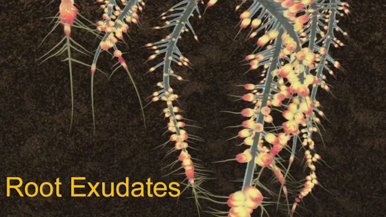 multifix-basic-48-slide-PPT-1280x720 (7)