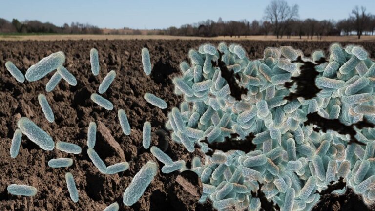 multifix-basic-48-slide-PPT-1280x720 (9)