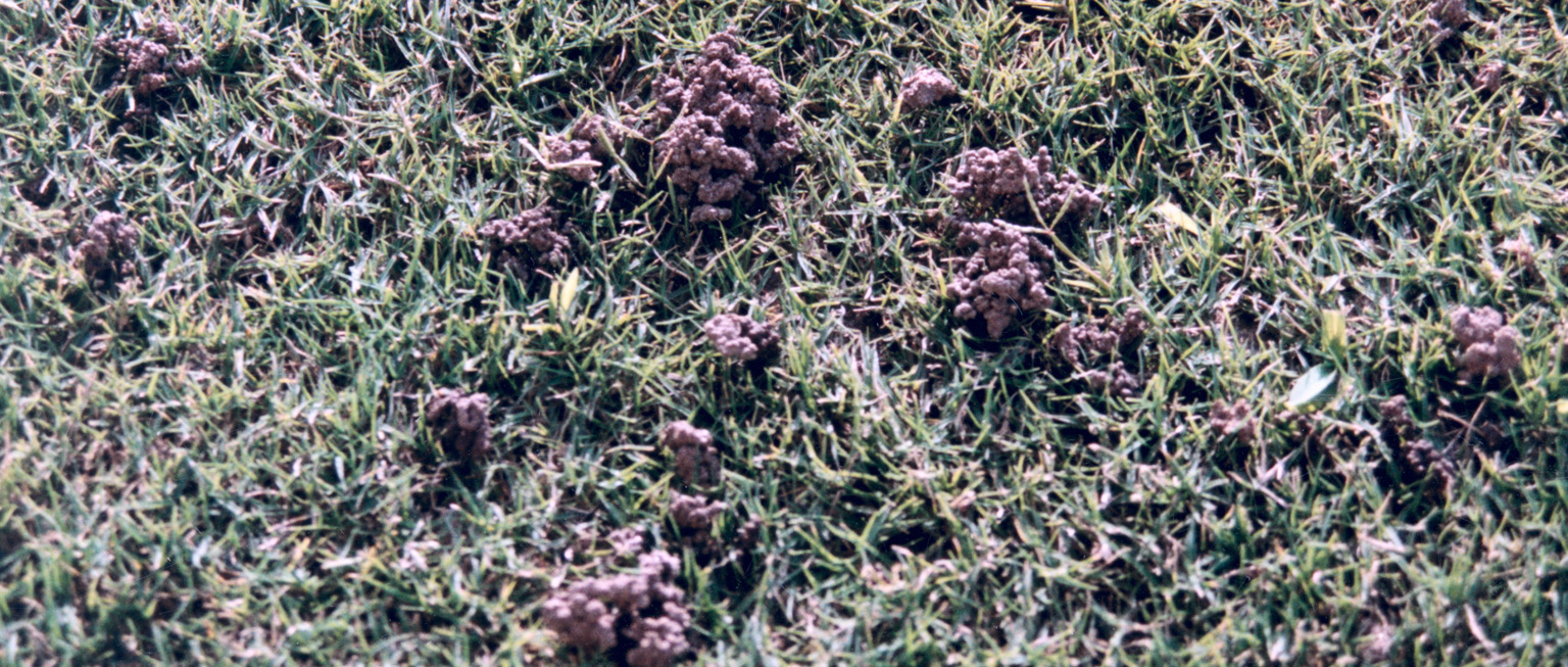 MultiFIX is the key to thriving earthworm populations.