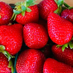 Grow the best specialty crops with MultiFIX