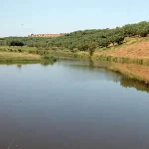 SAVE WATER