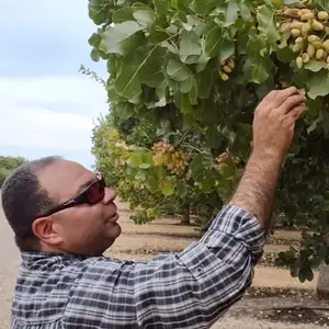 Jose bought MultiFIX to improve his pistachios' soil health. He was surprised to learn he also began reducing his water and electric costs by $1,200 a week.