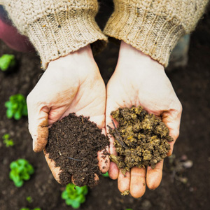 MultiFIX Science Hub: Microbiology and Soil Health