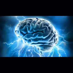 KNOWLEDGE BASE