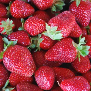 SPECIALTY CROPS